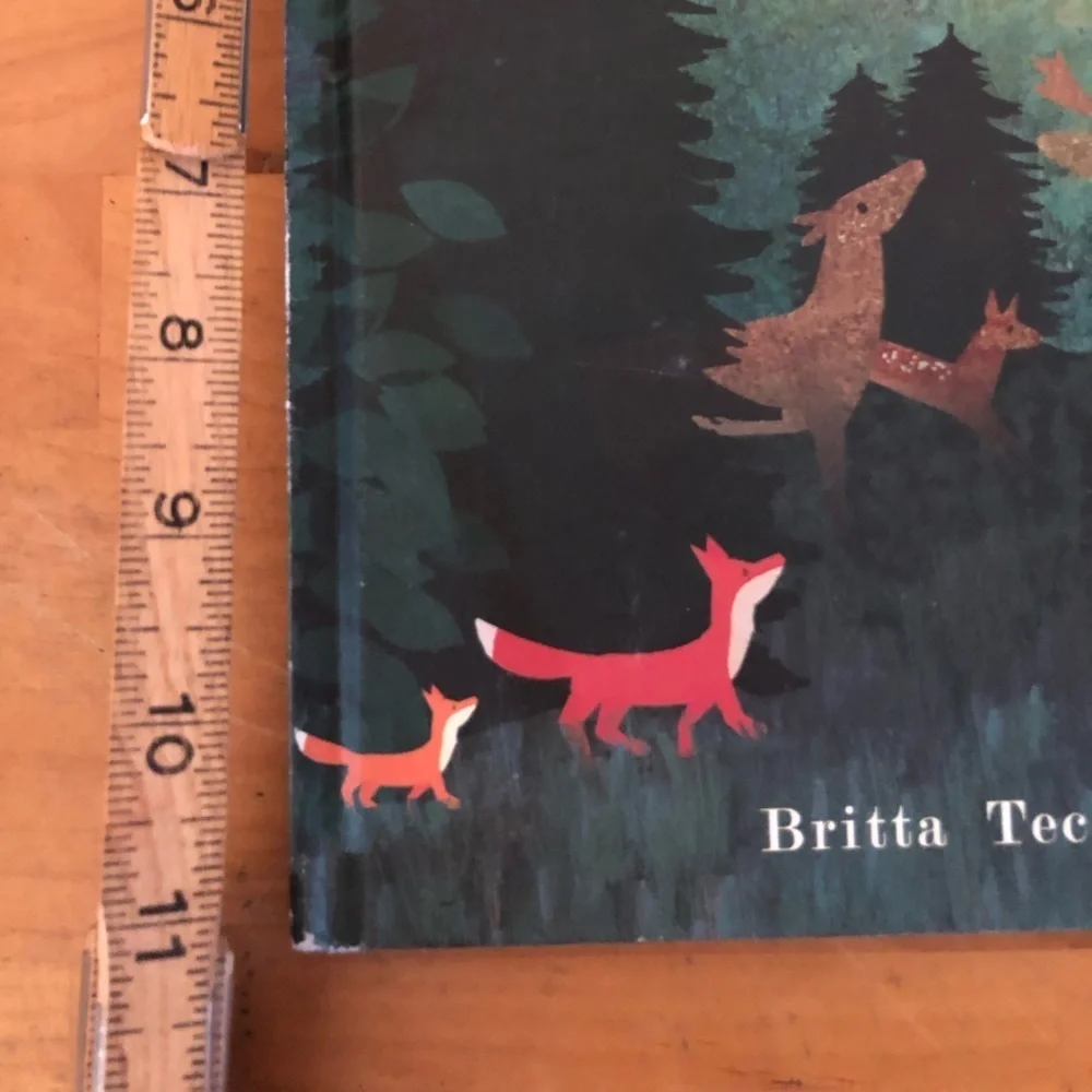 Moon Peek-Through Picture Book by Britta Teckentrup 2017 hardcover